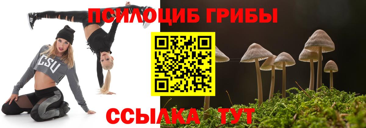 Псилоцибиновые грибы прущие грибы  купить  сайты  Северобайкальск  Вход с VPN  Псилоцибиновые грибы мухоморы 