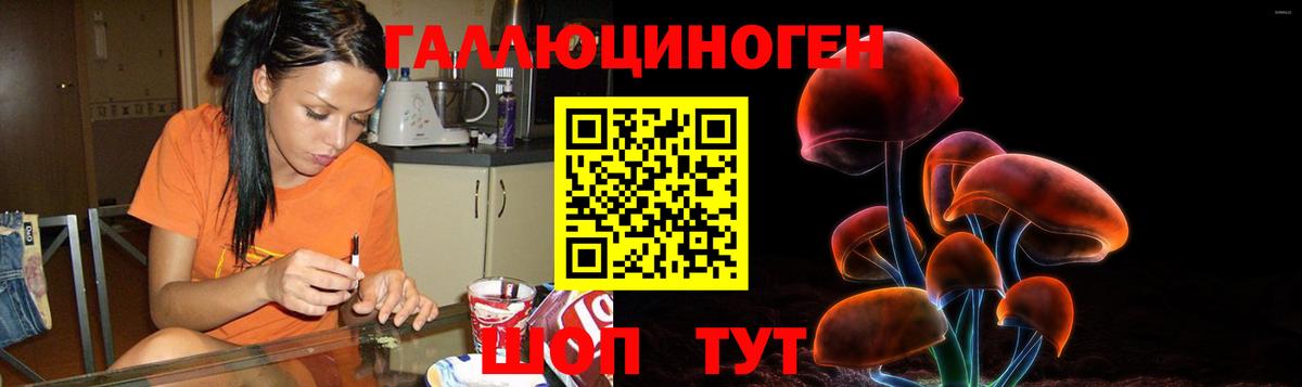 Псилоцибиновые грибы GOLDEN TEACHER Северобайкальск